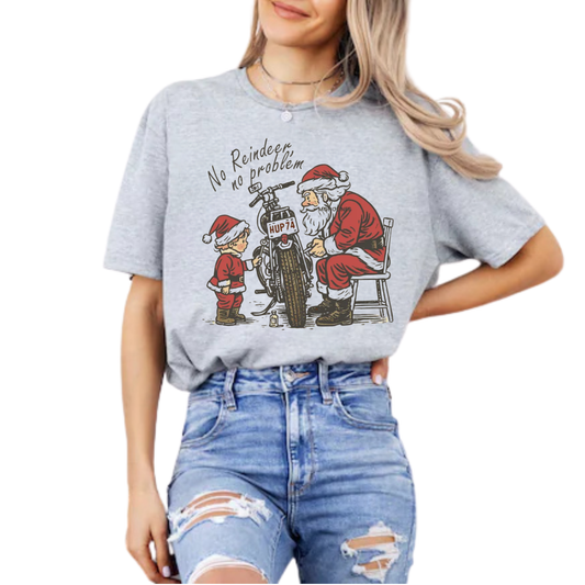 No Reindeer, No problem