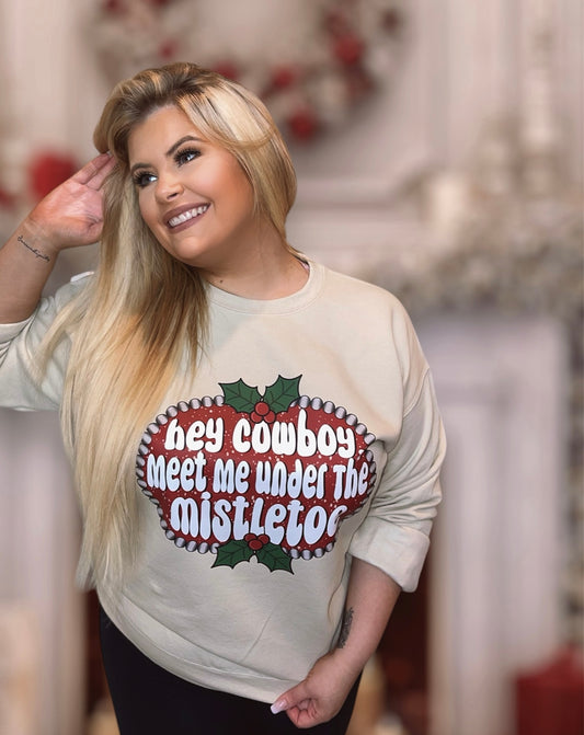 Meet me under the Mistletoe